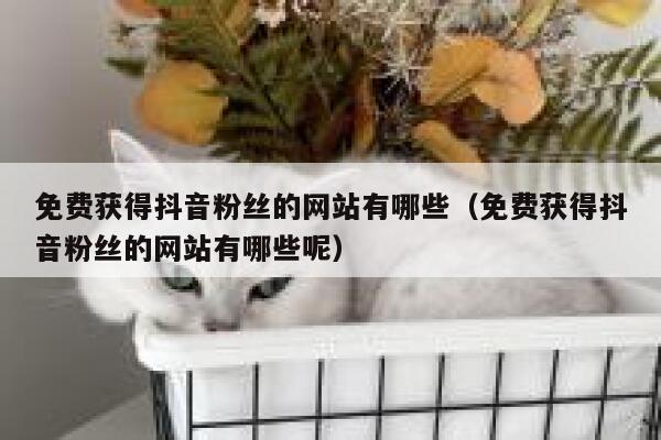 免费获得抖音粉丝的网站有哪些（免费获得抖音粉丝的网站有哪些呢） 第1张
