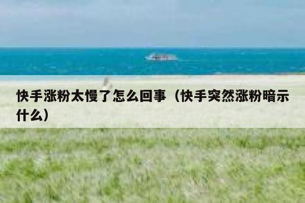 快手涨粉太慢了怎么回事(快手突然涨粉暗示什么) 第1张 快手涨粉太慢了怎么回事(快手突然涨粉暗示什么) 第1张
