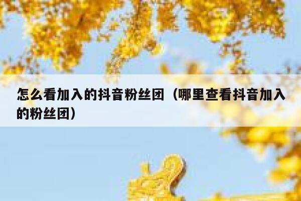 怎么看加入的抖音粉丝团（哪里查看抖音加入的粉丝团） 第1张