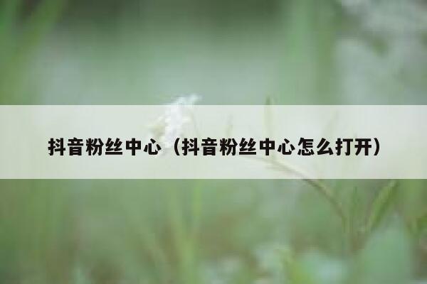 抖音粉丝中心(抖音粉丝中心怎么打开) 第1张 抖音粉丝中心(抖音粉丝中心怎么打开) 第1张