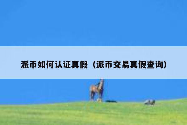 派币如何认证真假（派币交易真假查询） 第1张