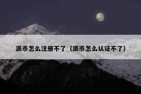 派币怎么注册不了（派币怎么认证不了） 第1张