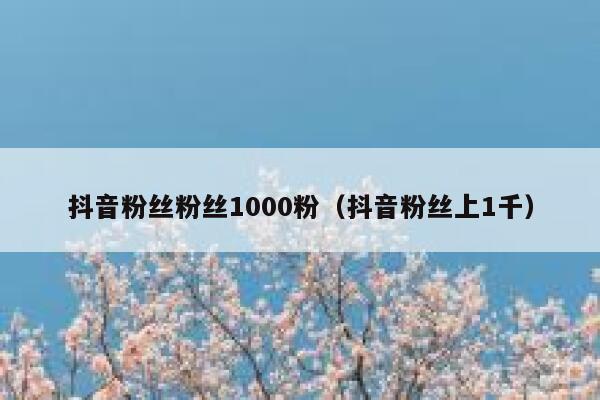 抖音粉丝粉丝1000粉（抖音粉丝上1千） 第1张