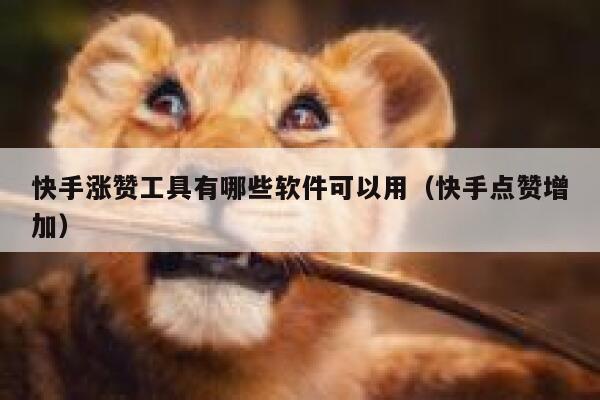 快手涨赞工具有哪些软件可以用（快手点赞增加） 第1张