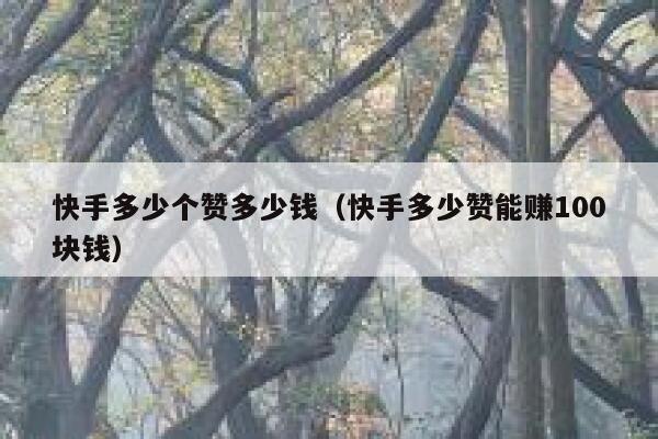 快手多少个赞多少钱（快手多少赞能赚100块钱） 第1张