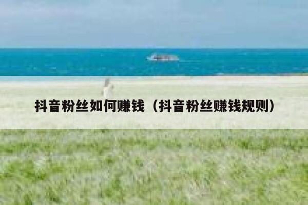 抖音粉丝如何赚钱（抖音粉丝赚钱规则） 第1张