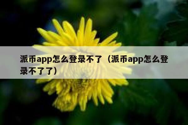派币app怎么登录不了（派币app怎么登录不了了） 第1张