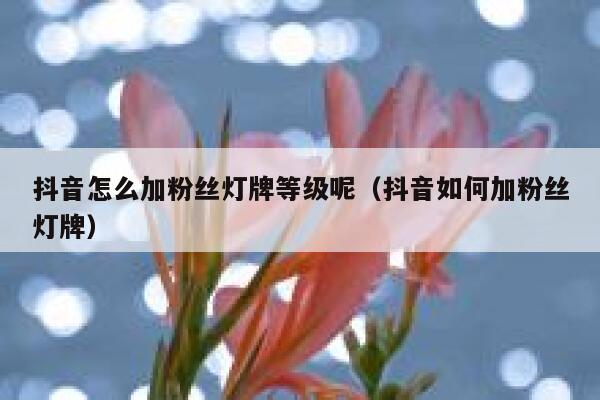 抖音怎么加粉丝灯牌等级呢（抖音如何加粉丝灯牌） 第1张