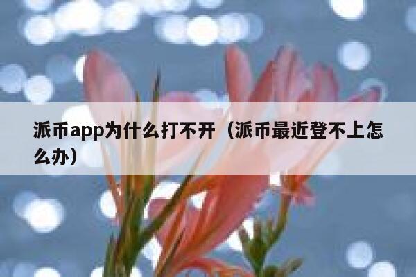 派币app为什么打不开(派币最近登不上怎么办) 第1张 派币app为什么打不开(派币最近登不上怎么办) 第1张