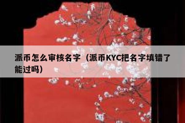 派币怎么审核名字（派币KYC把名字填错了能过吗） 第1张