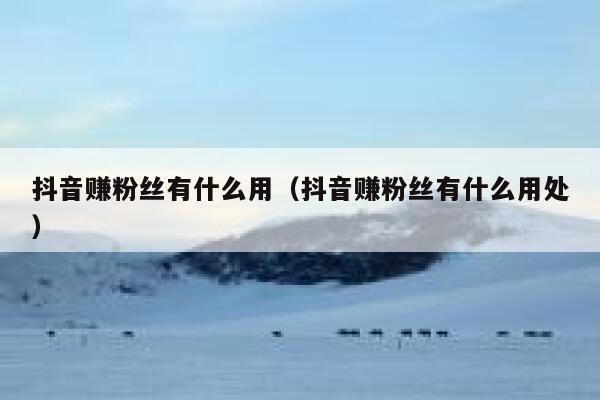 抖音赚粉丝有什么用（抖音赚粉丝有什么用处） 第1张