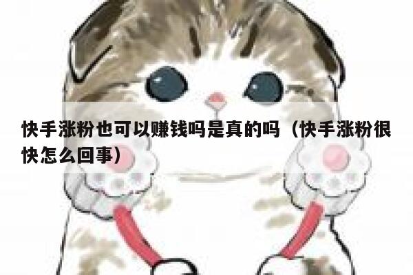 快手涨粉也可以赚钱吗是真的吗（快手涨粉很快怎么回事） 第1张