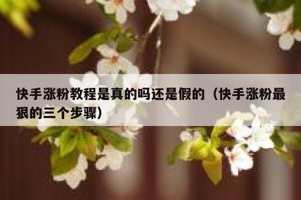 快手涨粉教程是真的吗还是假的（快手涨粉最狠的三个步骤） 第1张
