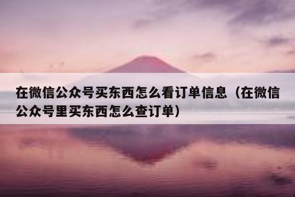 在微信公众号买东西怎么看订单信息(在微信公众号里买东西怎么查订单) 第1张 在微信公众号买东西怎么看订单信息(在微信公众号里买东西怎么查订单) 第1张