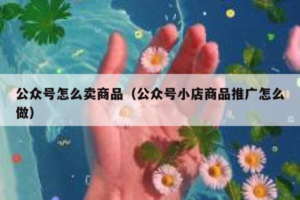 公众号怎么卖商品（公众号小店商品推广怎么做） 第1张