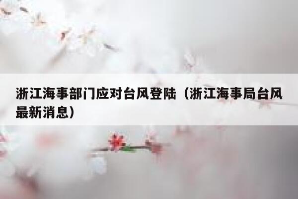 浙江海事部门应对台风登陆（浙江海事局台风最新消息） 第1张