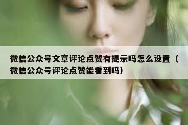 微信公众号文章评论点赞有提示吗怎么设置（微信公众号评论点赞能看到吗） 第1张