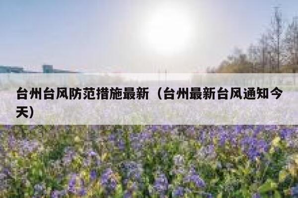 台州台风防范措施最新（台州最新台风通知今天） 第1张