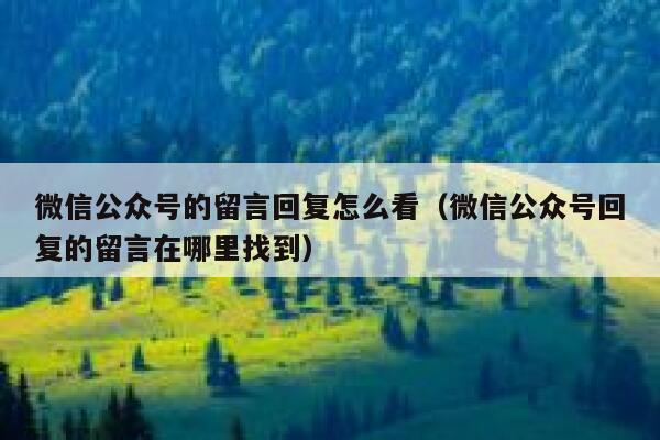 微信公众号的留言回复怎么看（微信公众号回复的留言在哪里找到） 第1张