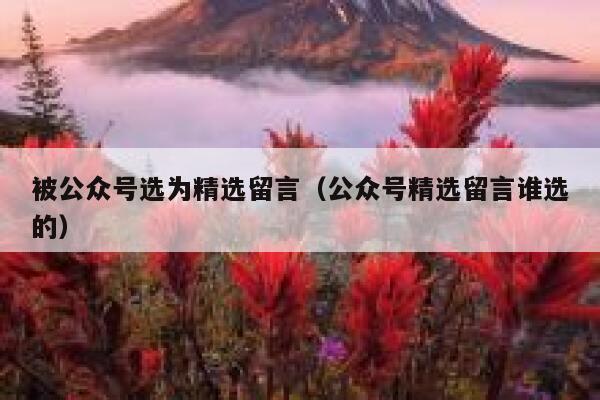 被公众号选为精选留言（公众号精选留言谁选的） 第1张