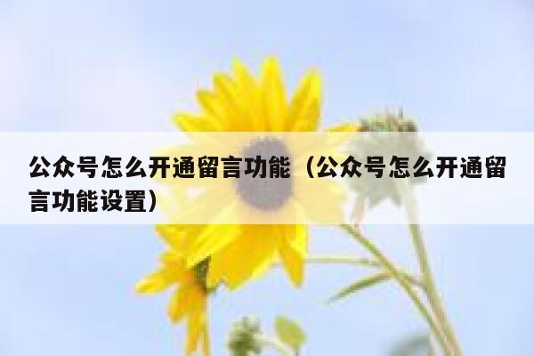 公众号怎么开通留言功能(公众号怎么开通留言功能设置) 第1张 公众号怎么开通留言功能(公众号怎么开通留言功能设置) 第1张