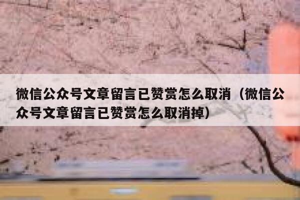 微信公众号文章留言已赞赏怎么取消（微信公众号文章留言已赞赏怎么取消掉） 第1张