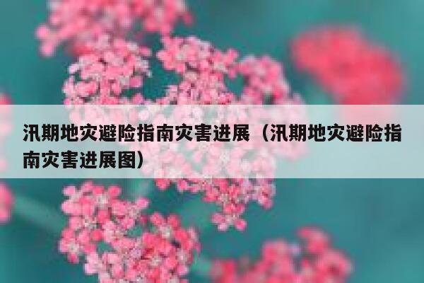 汛期地灾避险指南灾害进展（汛期地灾避险指南灾害进展图） 第1张