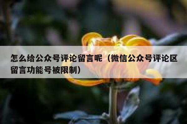 怎么给公众号评论留言呢（微信公众号评论区留言功能号被限制） 第1张