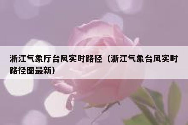 浙江气象厅台风实时路径（浙江气象台风实时路径图最新） 第1张