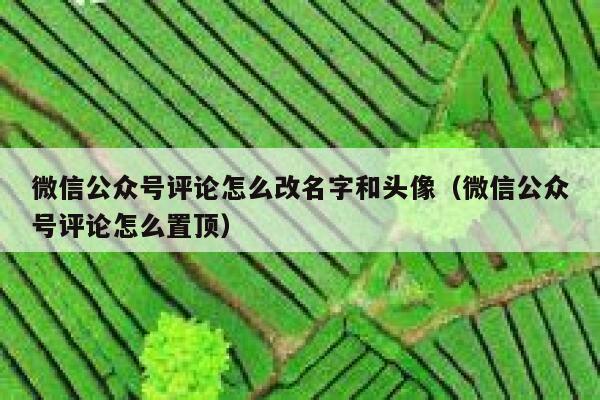 微信公众号评论怎么改名字和头像（微信公众号评论怎么置顶） 第1张