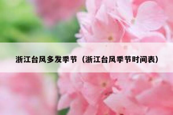 浙江台风多发季节（浙江台风季节时间表） 第1张
