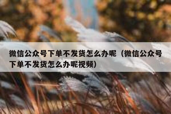 微信公众号下单不发货怎么办呢（微信公众号下单不发货怎么办呢视频） 第1张