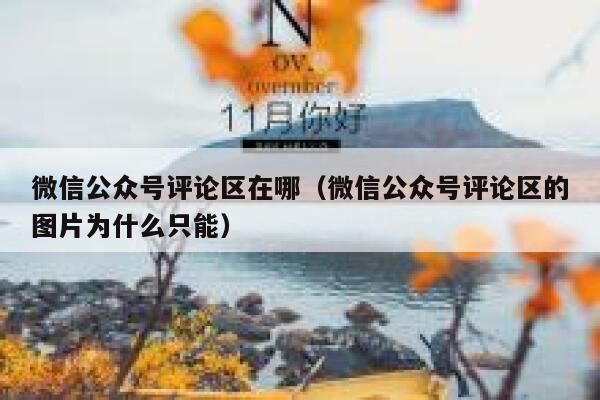 微信公众号评论区在哪(微信公众号评论区的图片为什么只能) 第1张 微信公众号评论区在哪(微信公众号评论区的图片为什么只能) 第1张
