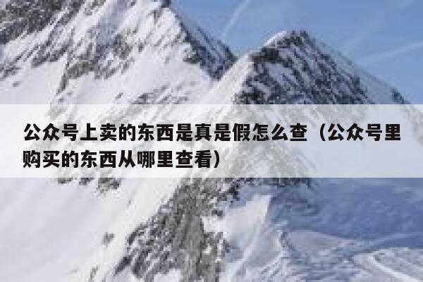 公众号上卖的东西是真是假怎么查（公众号里购买的东西从哪里查看） 第1张