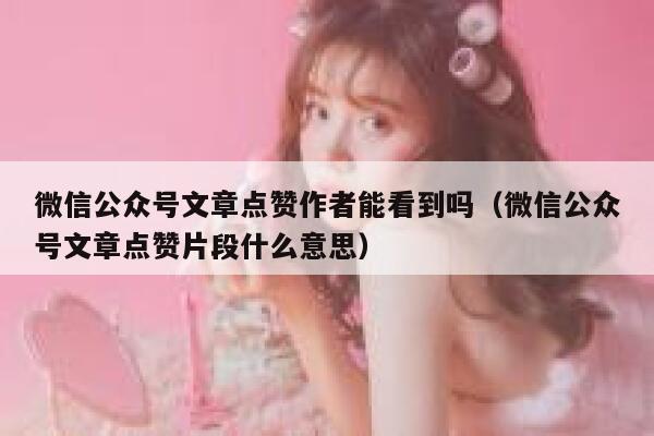 微信公众号文章点赞作者能看到吗（微信公众号文章点赞片段什么意思） 第1张