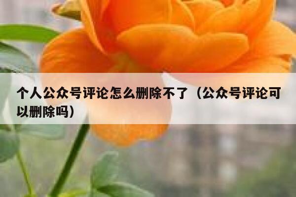 个人公众号评论怎么删除不了（公众号评论可以删除吗） 第1张
