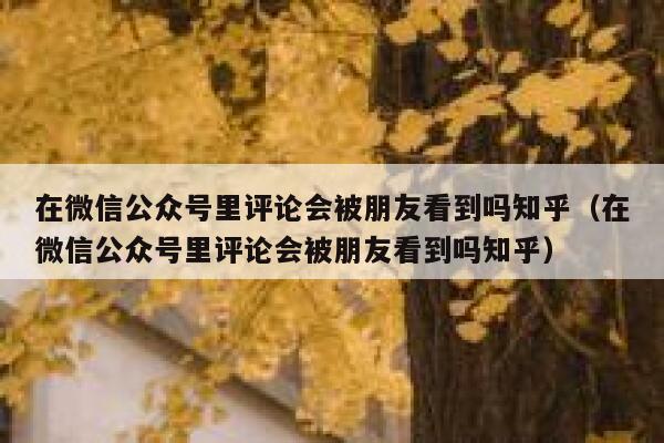 在微信公众号里评论会被朋友看到吗知乎（在微信公众号里评论会被朋友看到吗知乎） 第1张