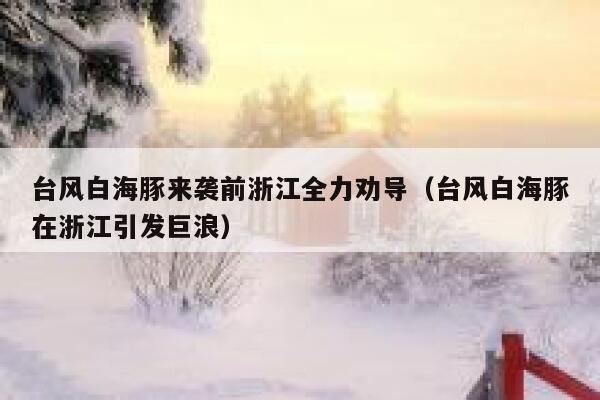 台风白海豚来袭前浙江全力劝导（台风白海豚在浙江引发巨浪） 第1张