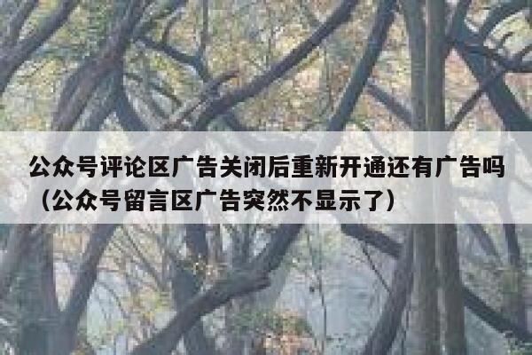 公众号评论区广告关闭后重新开通还有广告吗（公众号留言区广告突然不显示了） 第1张