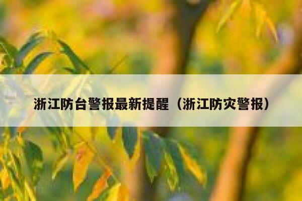 浙江防台警报最新提醒（浙江防灾警报） 第1张