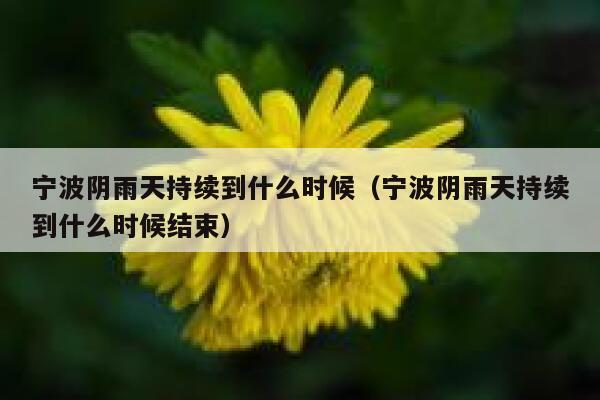 宁波阴雨天持续到什么时候（宁波阴雨天持续到什么时候结束） 第1张