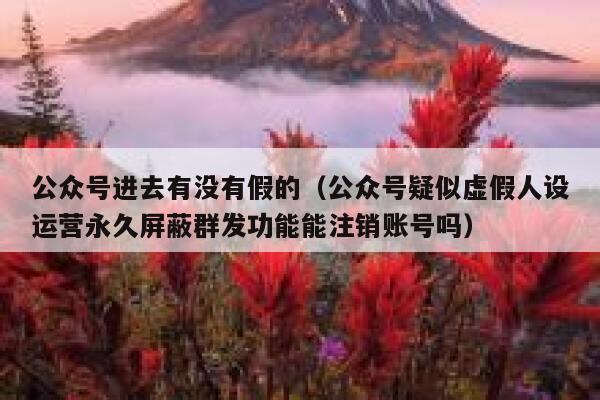 公众号进去有没有假的（公众号疑似虚假人设运营永久屏蔽群发功能能注销账号吗） 第1张