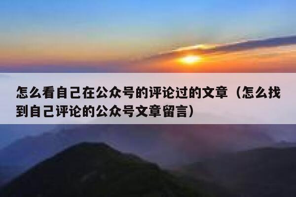 怎么看自己在公众号的评论过的文章（怎么找到自己评论的公众号文章留言） 第1张