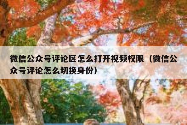 微信公众号评论区怎么打开视频权限（微信公众号评论怎么切换身份） 第1张