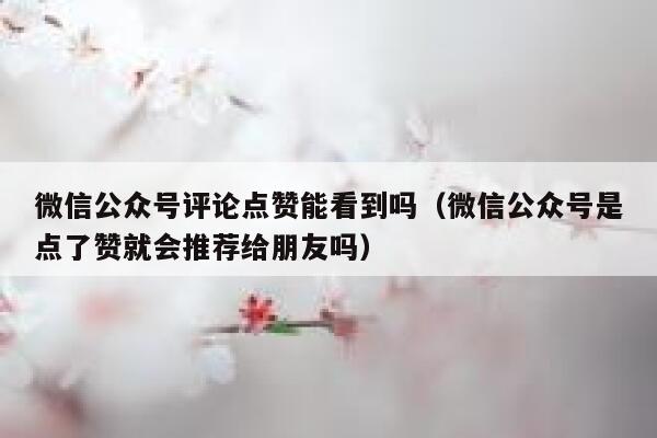 微信公众号评论点赞能看到吗（微信公众号是点了赞就会推荐给朋友吗） 第1张