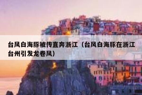 台风白海豚被传直奔浙江（台风白海豚在浙江台州引发龙卷风） 第1张
