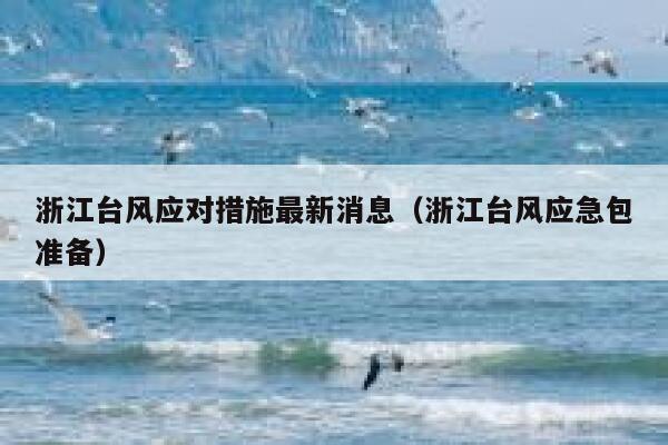 浙江台风应对措施最新消息（浙江台风应急包准备） 第1张