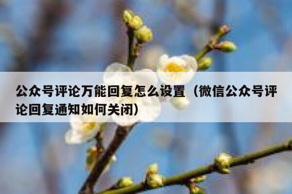 公众号评论万能回复怎么设置（微信公众号评论回复通知如何关闭） 第1张