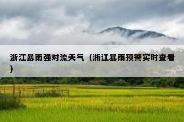 浙江暴雨强对流天气（浙江暴雨预警实时查看） 第1张