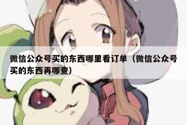 微信公众号买的东西哪里看订单(微信公众号买的东西再哪查) 第1张 微信公众号买的东西哪里看订单(微信公众号买的东西再哪查) 第1张